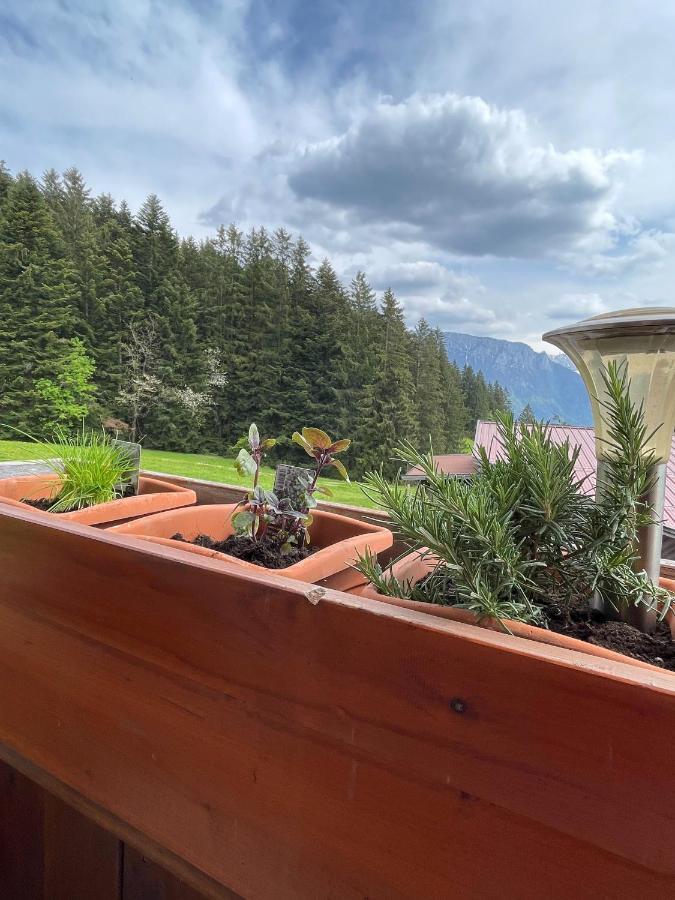 Ferienhaus Praschberg Niederndorferberg Esterno foto
